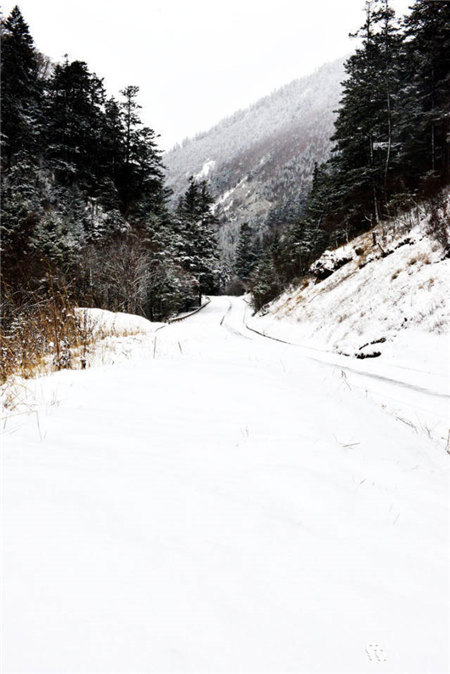 原来河南大雪过后这么美